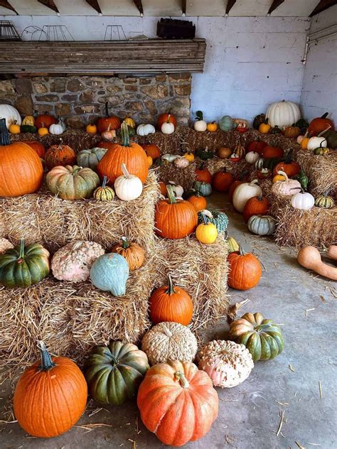 half baked harvest pumpkin